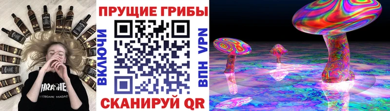 наркошоп KRAKEN вход Галлюциногенные грибы Psilocybe Катайск